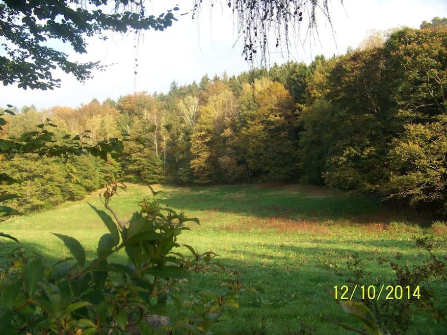 Gartentraum, Feuergrill, Kids-Spielwelt, 4Raeume Hartenstein  Exteriör bild