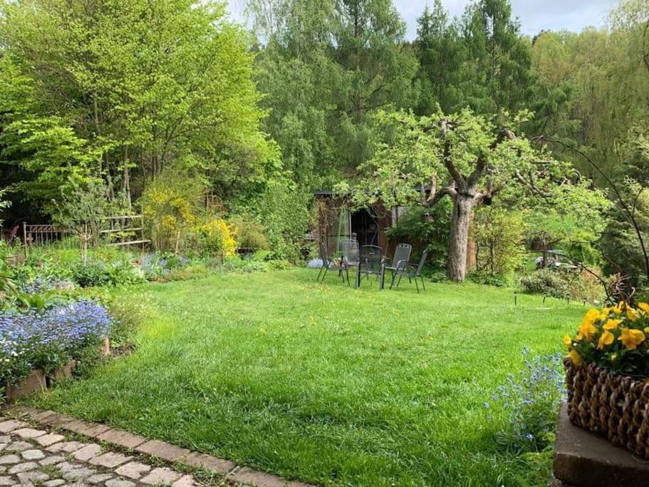 Gartentraum, Feuergrill, Kids-Spielwelt, 4Raeume Hartenstein  Exteriör bild
