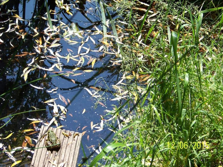 Gartentraum, Feuergrill, Kids-Spielwelt, 4Raeume Hartenstein  Exteriör bild